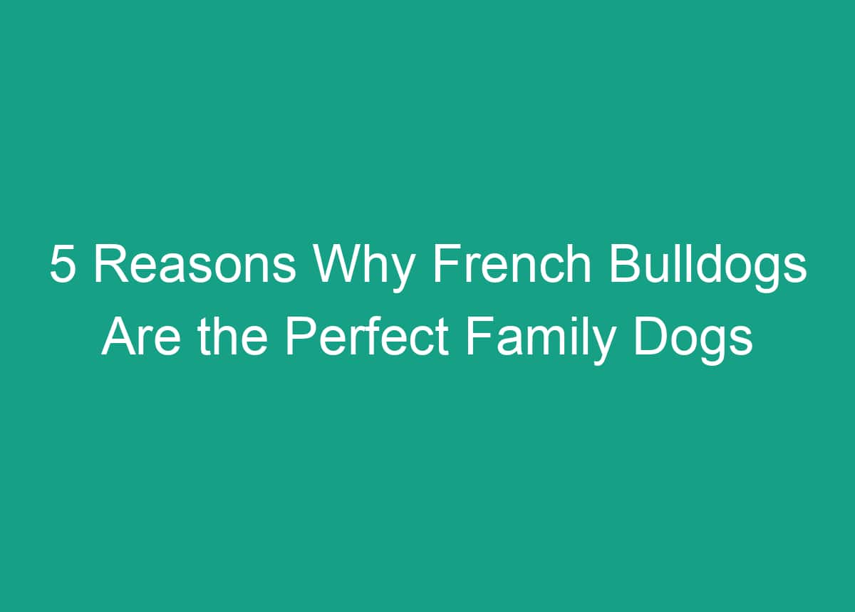 5 Reasons Why French Bulldogs Are The Perfect Family Dogs
