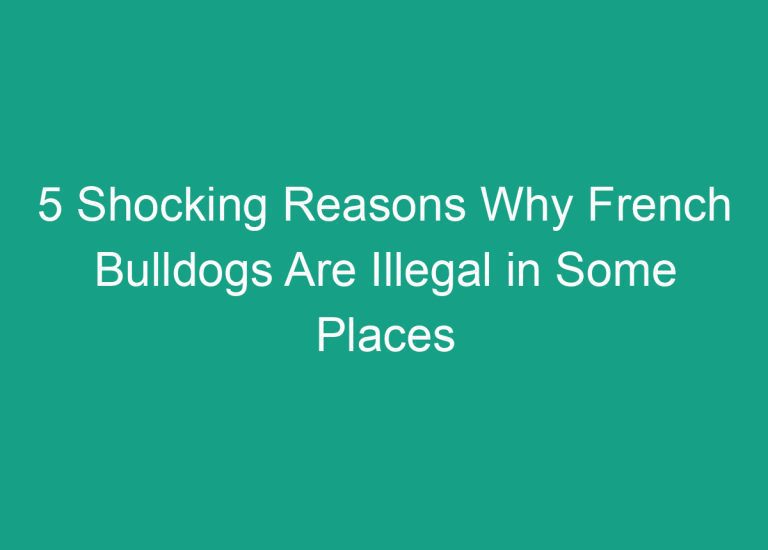 5 Shocking Reasons Why French Bulldogs Are Illegal in Some Places
