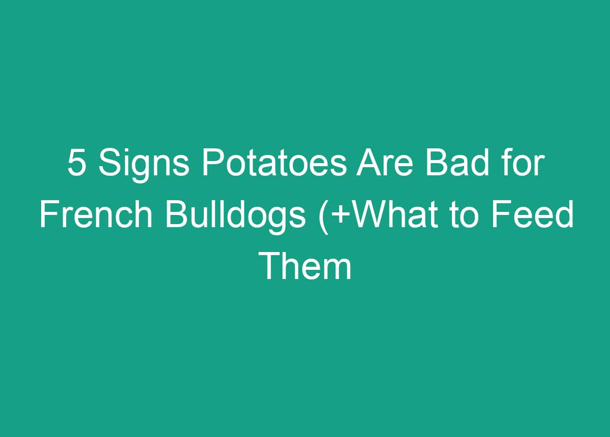 5 Signs Potatoes Are Bad For French Bulldogs (+What To Feed Them Instead)