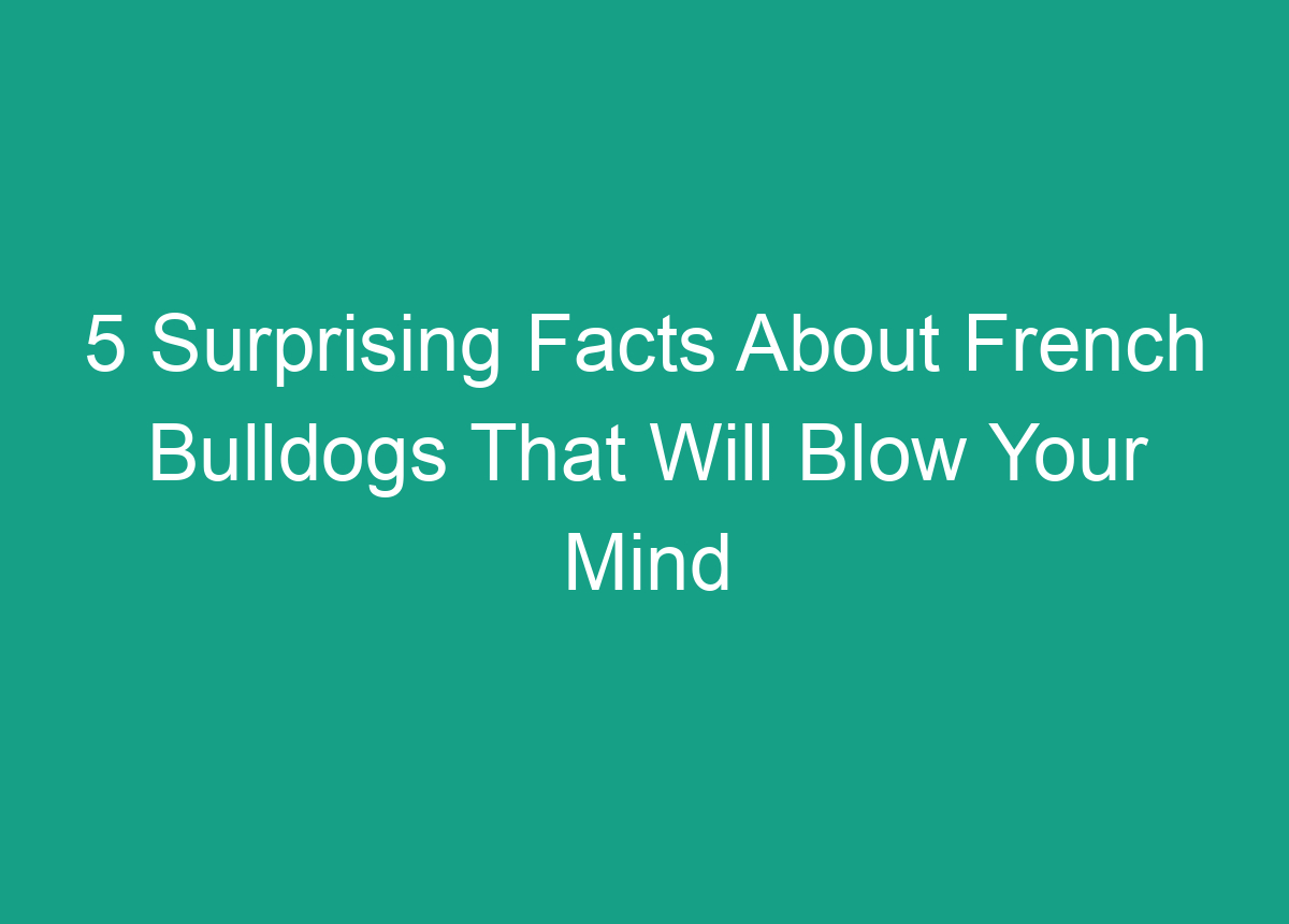 5-surprising-facts-about-french-bulldogs-that-will-blow-your-mind