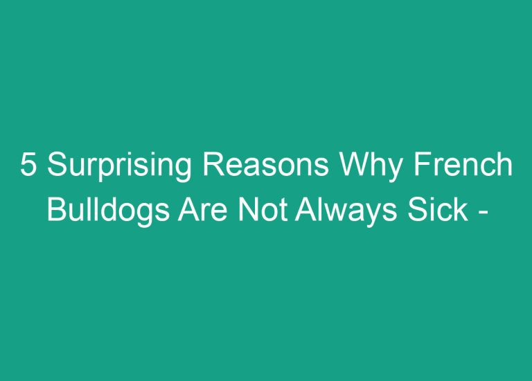 5 Surprising Reasons Why French Bulldogs Are Not Always Sick – Discover the Truth Now!