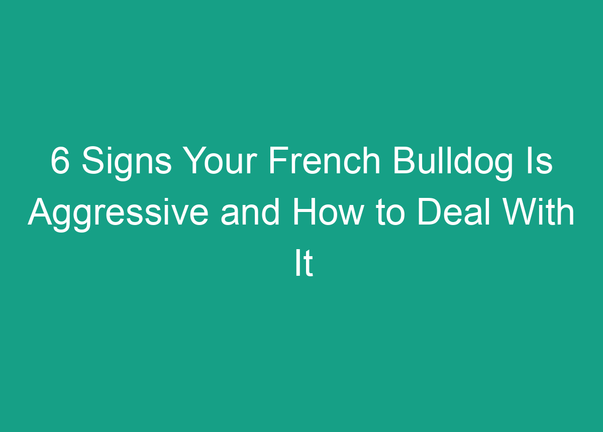 6 Signs Your French Bulldog Is Aggressive And How To Deal With It