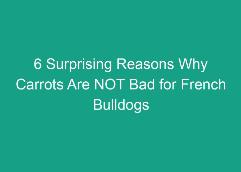 6 Surprising Reasons Why Carrots Are NOT Bad for French Bulldogs