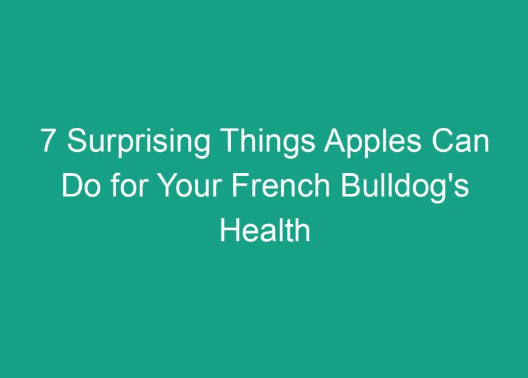 7 Surprising Things Apples Can Do for Your French Bulldog’s Health