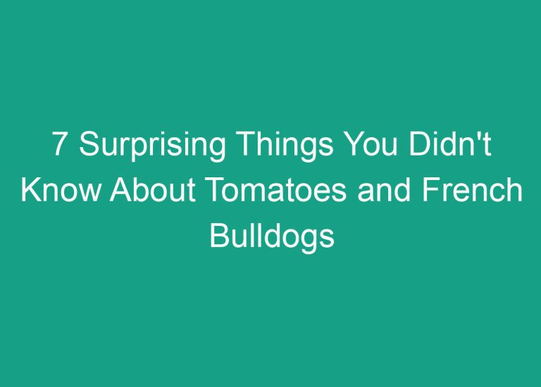 7 Surprising Things You Didn’t Know About Tomatoes and French Bulldogs