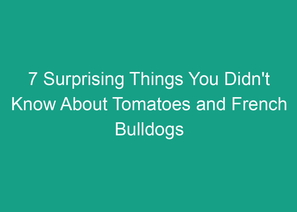 7 Surprising Things You Didn't Know About Tomatoes And French Bulldogs