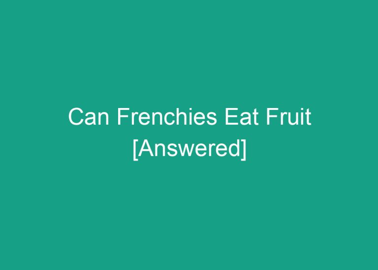 Can Frenchies Eat Fruit [Answered]