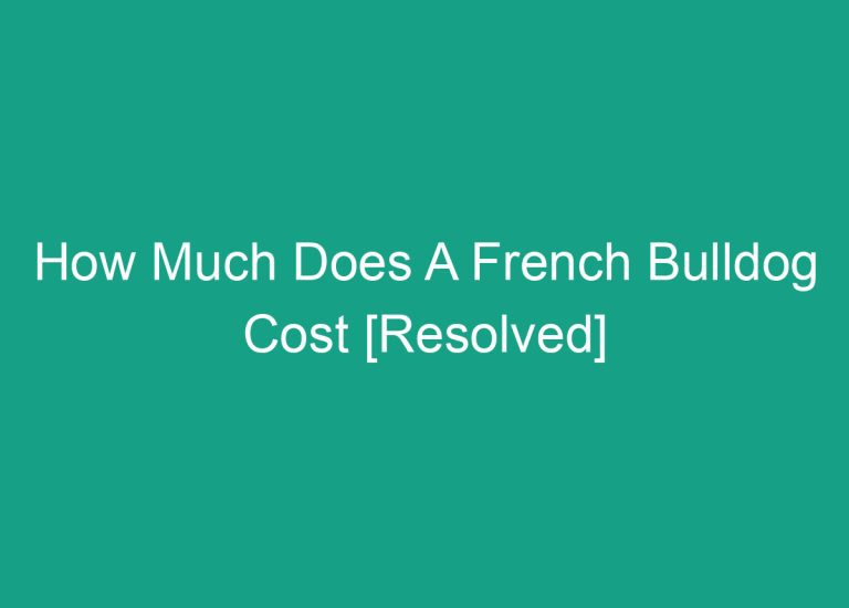 How Much Does A French Bulldog Cost [Resolved]