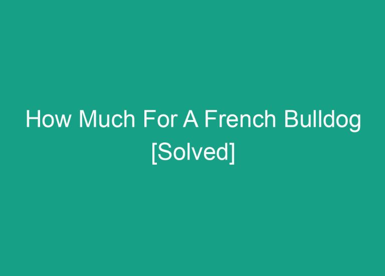How Much For A French Bulldog [Solved]