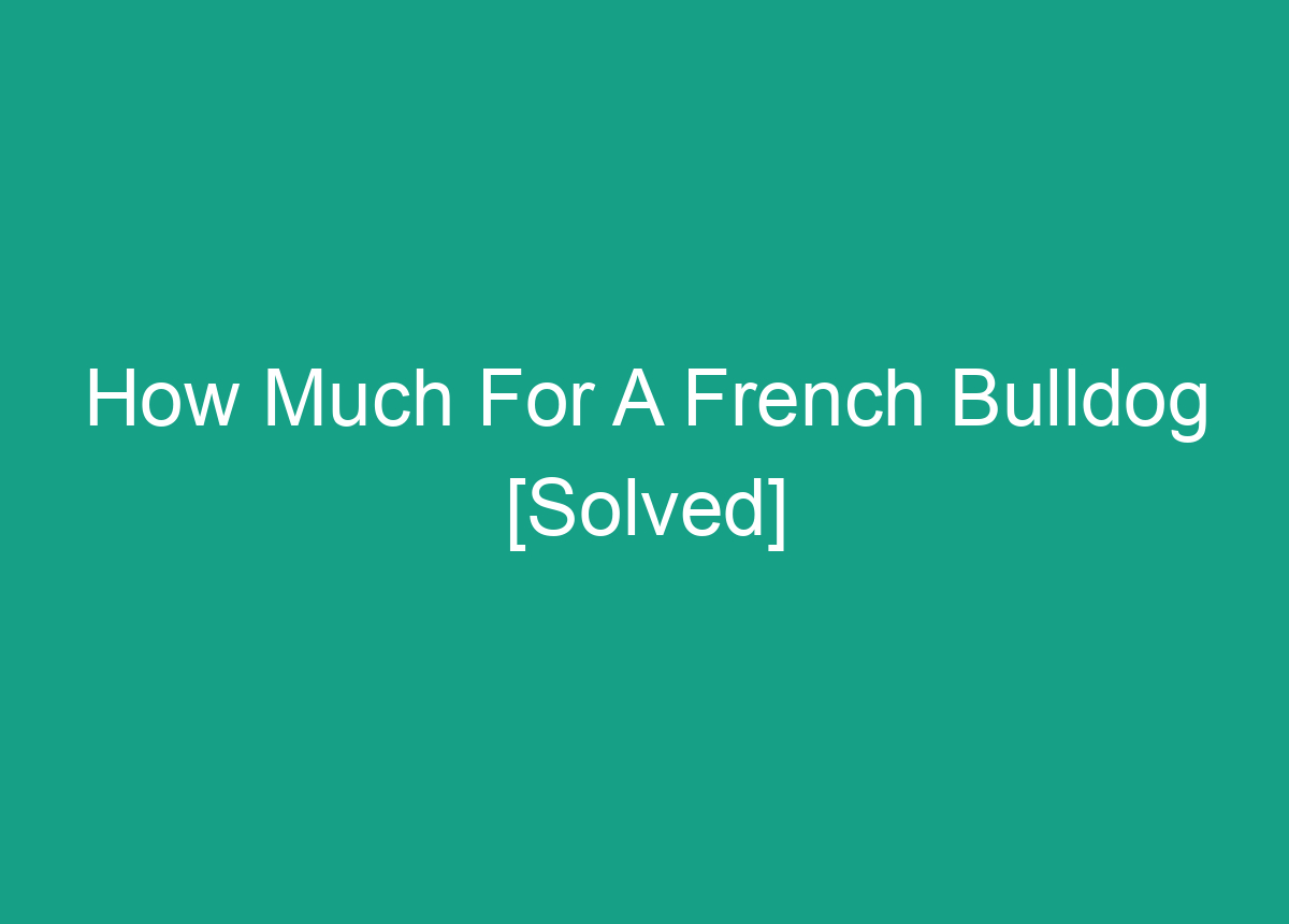 how-much-for-a-french-bulldog-solved