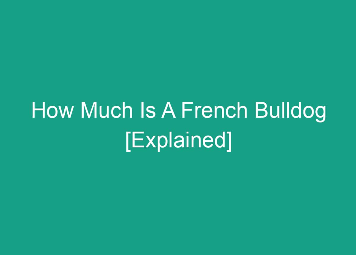 French Bulldog Growth Stages A Comprehensive Guide