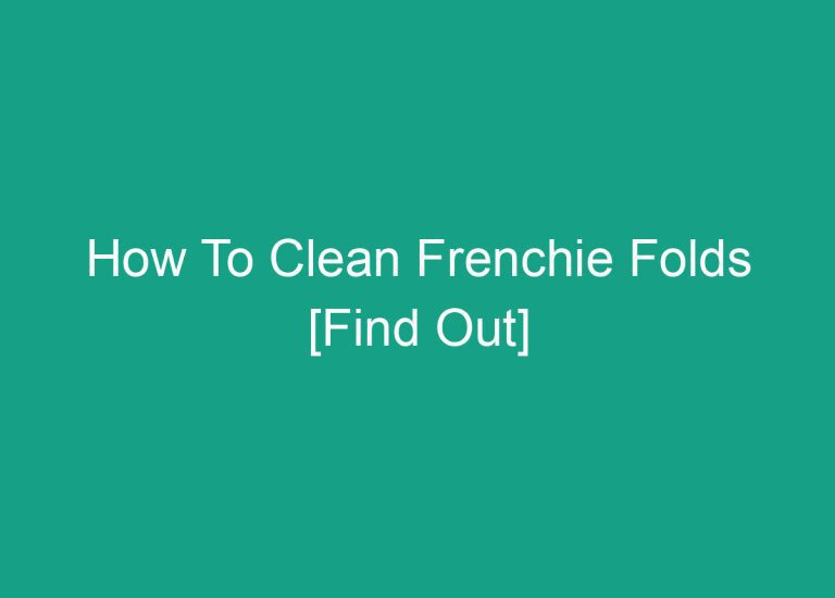 How To Clean Frenchie Folds [Find Out]