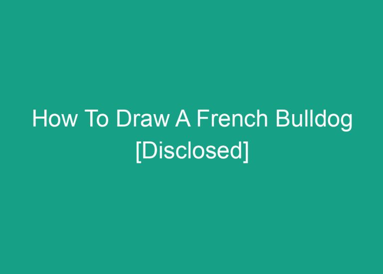 How To Draw A French Bulldog [Disclosed]