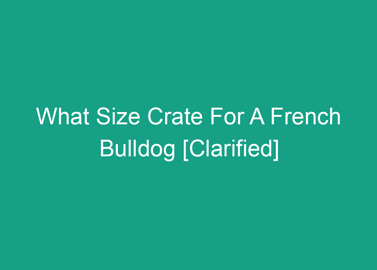 What Size Crate For A French Bulldog [Clarified]