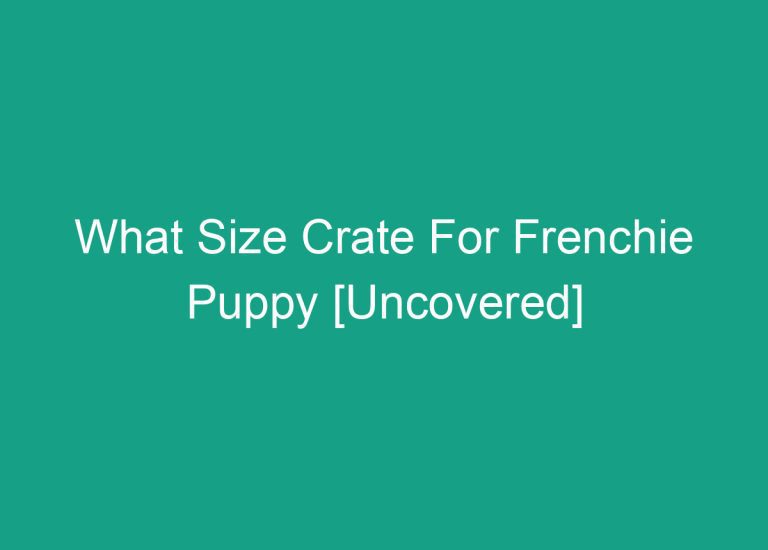What Size Crate For Frenchie Puppy [Uncovered]