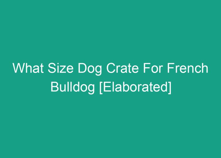 What Size Dog Crate For French Bulldog [Elaborated]