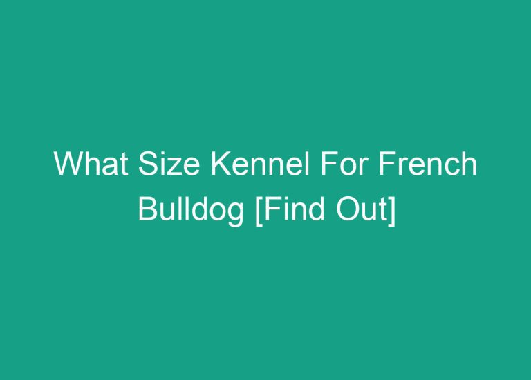 What Size Kennel For French Bulldog [Find Out]
