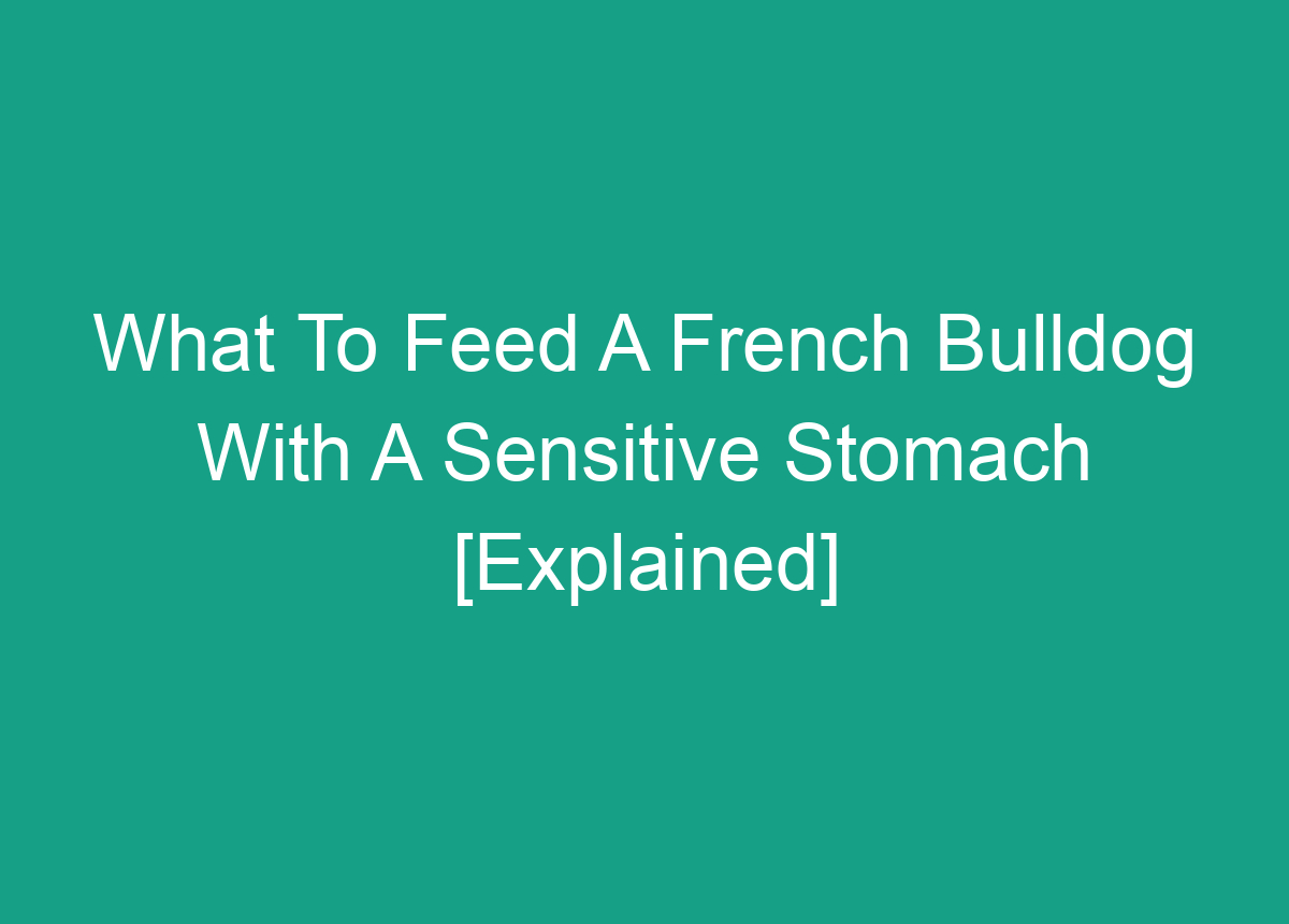 what-to-feed-a-french-bulldog-with-a-sensitive-stomach-explained