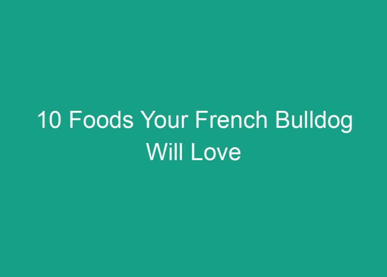 10 Foods Your French Bulldog Will Love