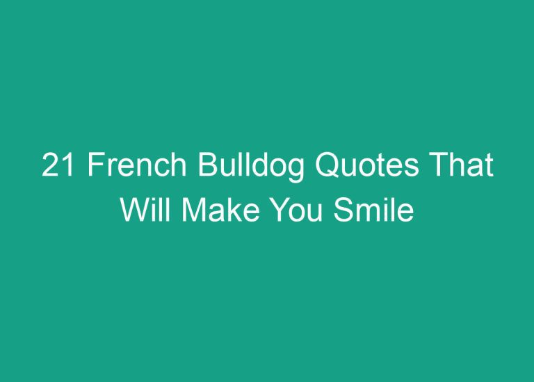 21 French Bulldog Quotes That Will Make You Smile