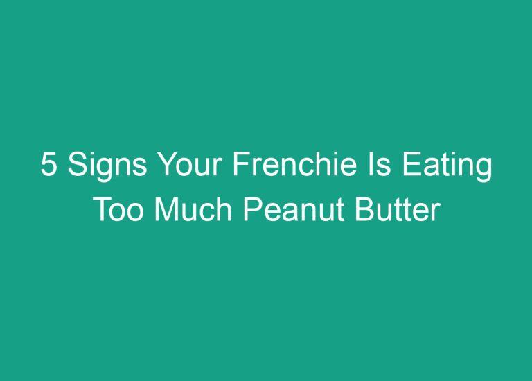 5 Signs Your Frenchie Is Eating Too Much Peanut Butter