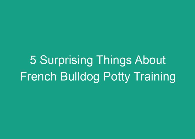 5 Surprising Things About French Bulldog Potty Training