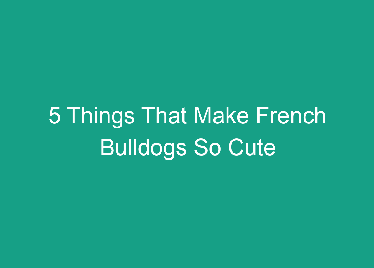 5 Things That Make French Bulldogs So Cute