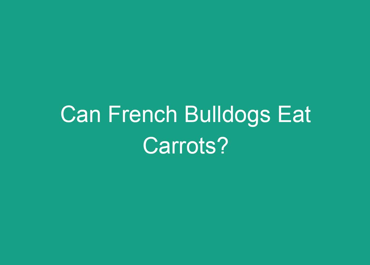 Can French Bulldogs Eat Carrots?