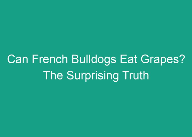 Can French Bulldogs Eat Grapes? The Surprising Truth