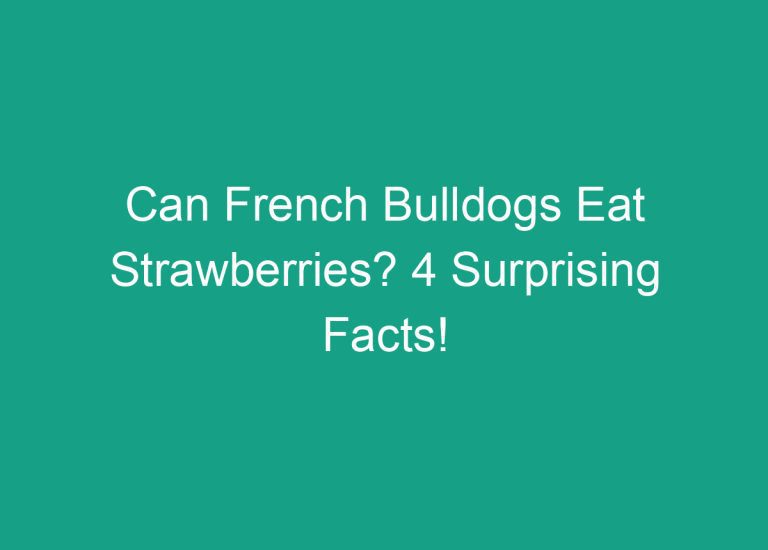 Can French Bulldogs Eat Strawberries? 4 Surprising Facts!