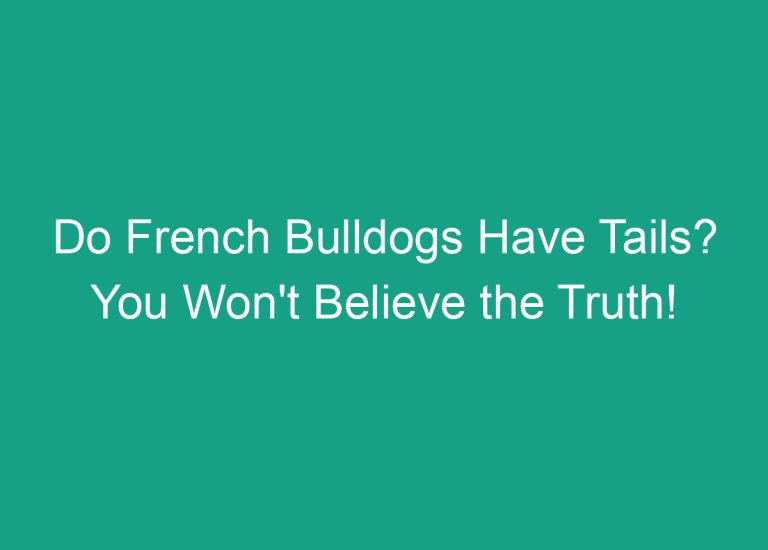 Do French Bulldogs Have Tails? You Won’t Believe the Truth!
