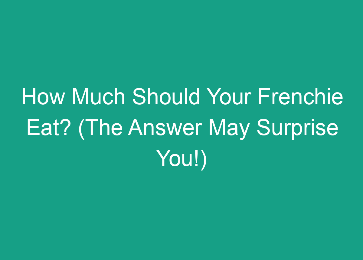 How Much Should Your Frenchie Eat? (The Answer May Surprise You!)