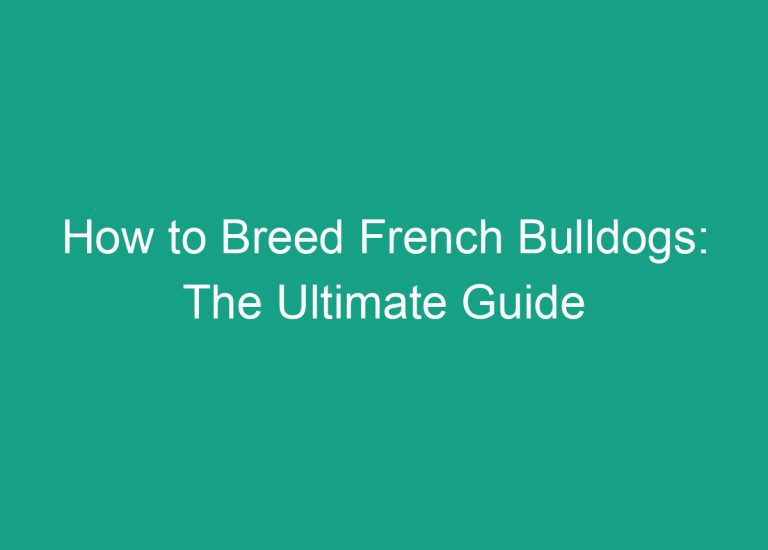 How to Breed French Bulldogs: The Ultimate Guide