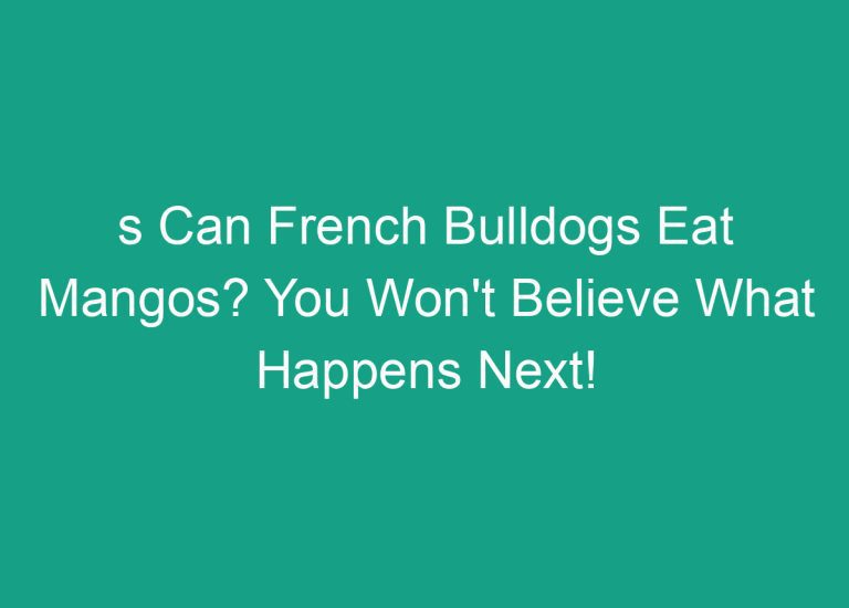 s Can French Bulldogs Eat Mangos? You Won’t Believe What Happens Next!
