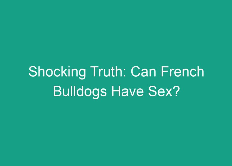 Shocking Truth: Can French Bulldogs Have Sex?