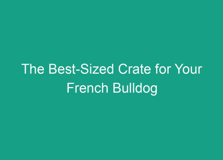 The Best-Sized Crate for Your French Bulldog