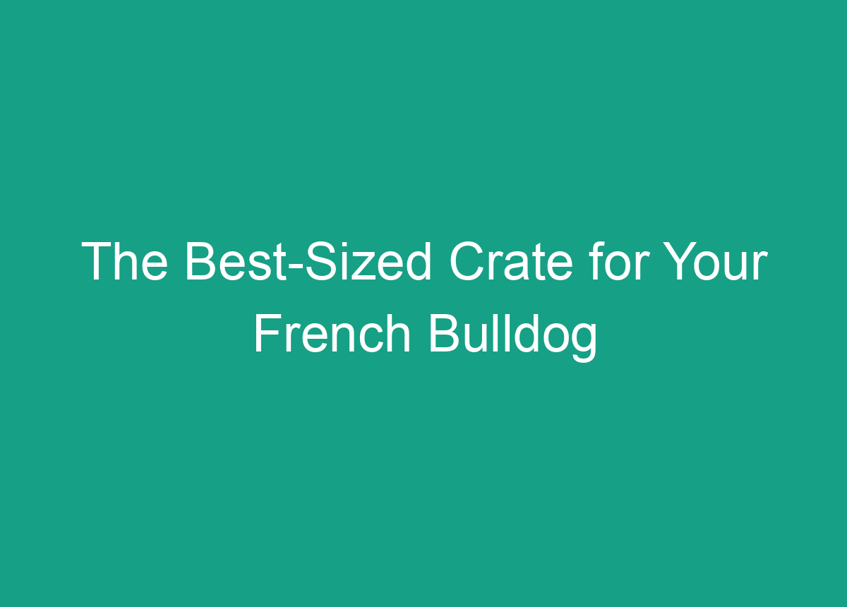 The BestSized Crate For Your French Bulldog