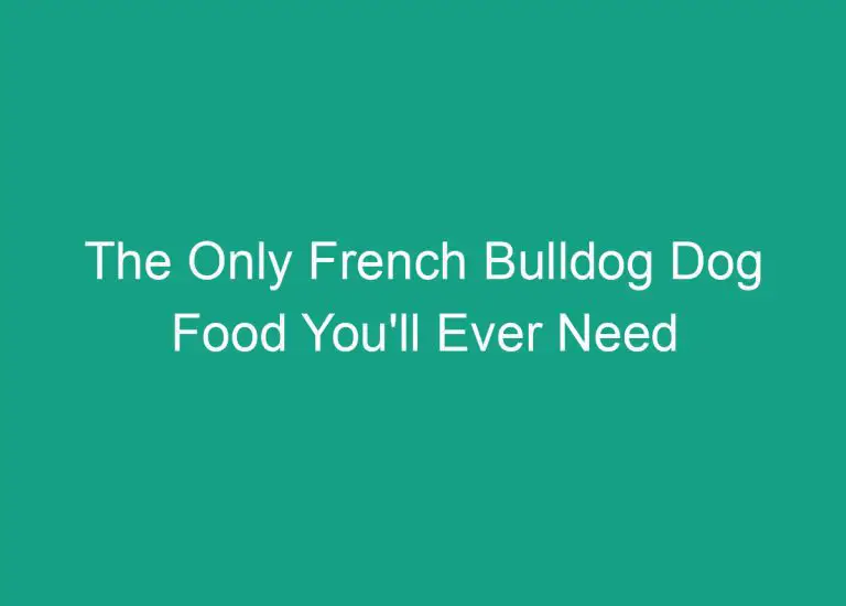 The Only French Bulldog Dog Food You’ll Ever Need