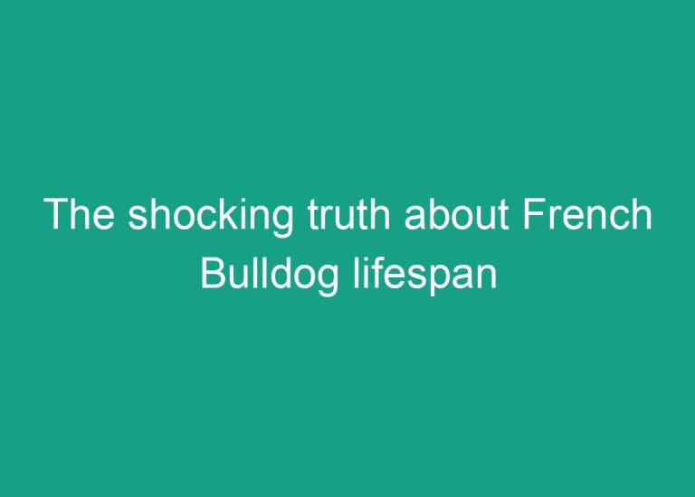 The shocking truth about French Bulldog lifespan