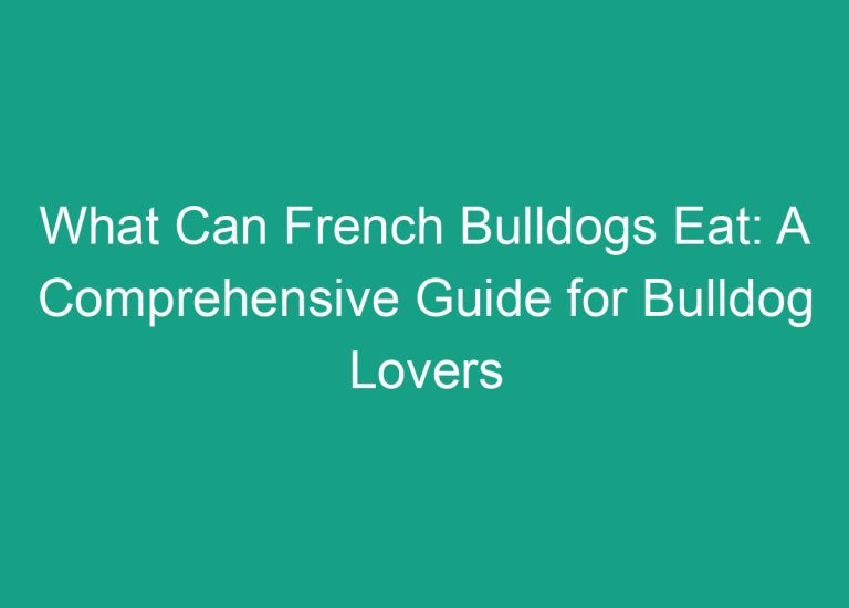 What Can French Bulldogs Eat: A Comprehensive Guide for Bulldog Lovers