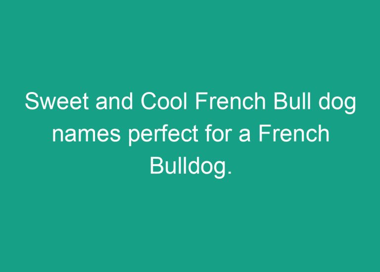 300+ Cool and Cute French Bulldog Names: Perfect for Girl and Boy French Bulldog.