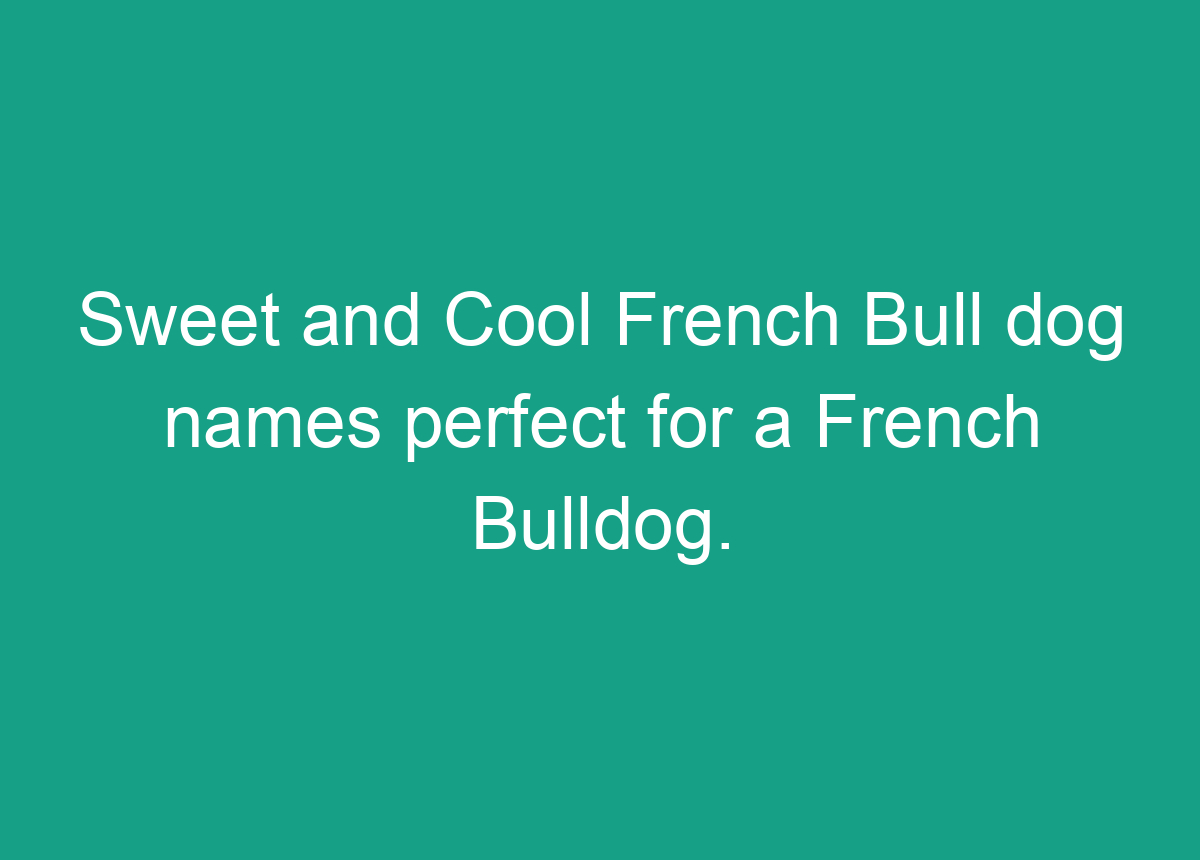 300-cool-and-cute-french-bulldog-names-perfect-for-girl-and-boy