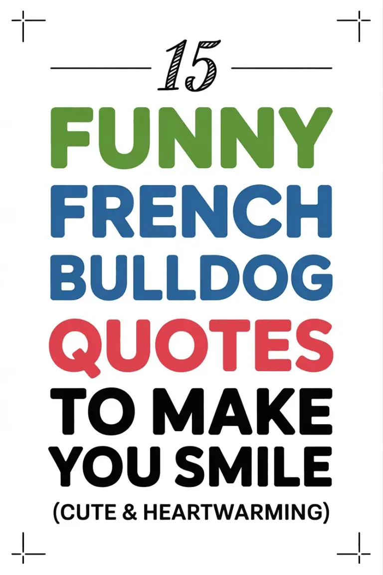 15 French Bulldog Quotes to Melt Your Heart and Make You Smile