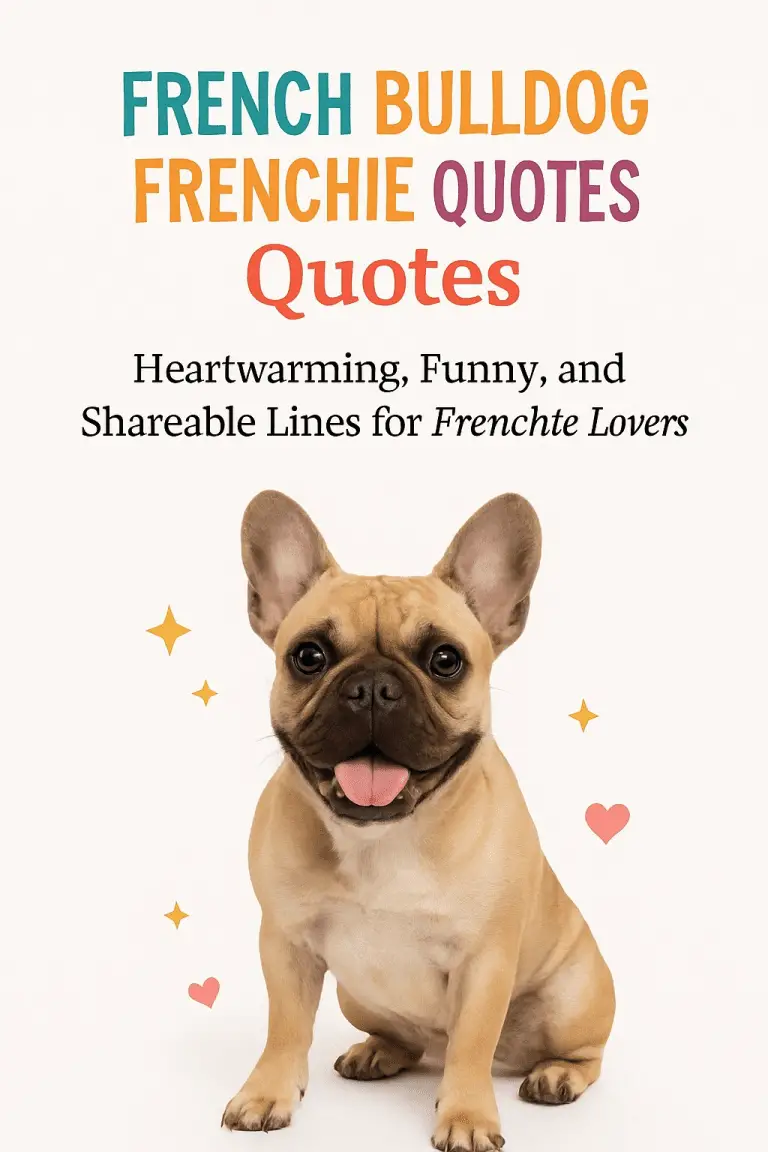 French Bulldog Quotes, Frenchie Quotes, Quotes