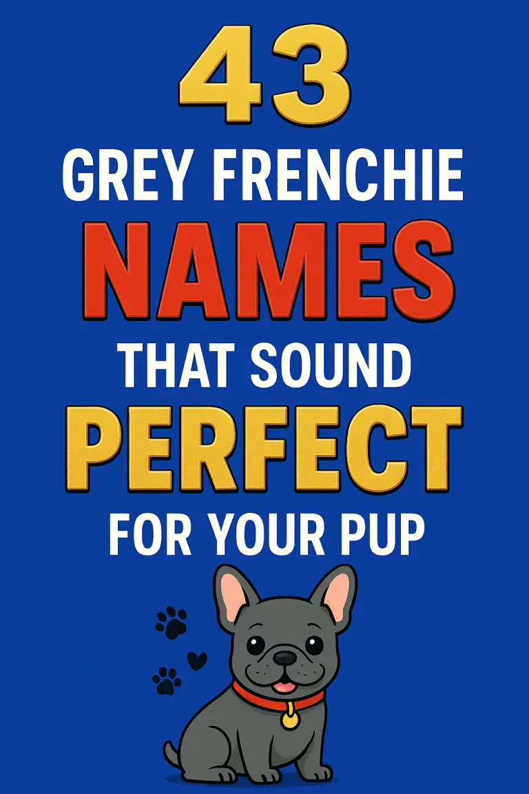 Grey French Bulldog Names: Finding the Perfect Match for Your Pup