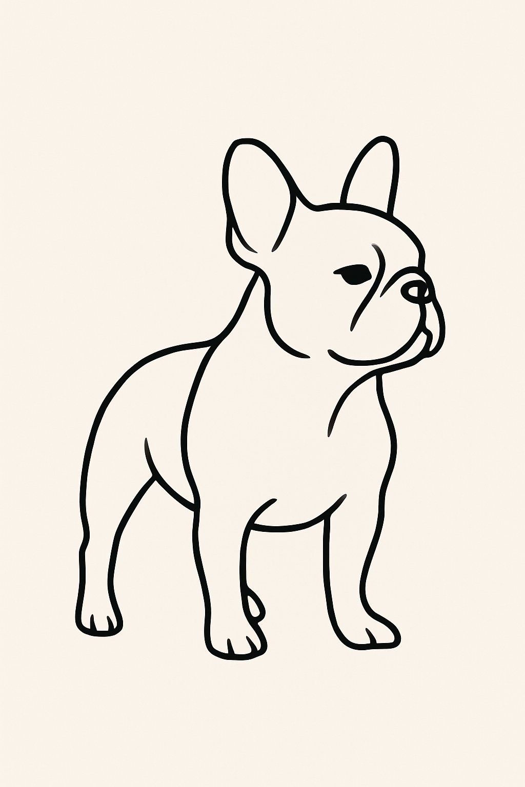 Outline of a French Bulldog shown in a simple continuous line drawing.