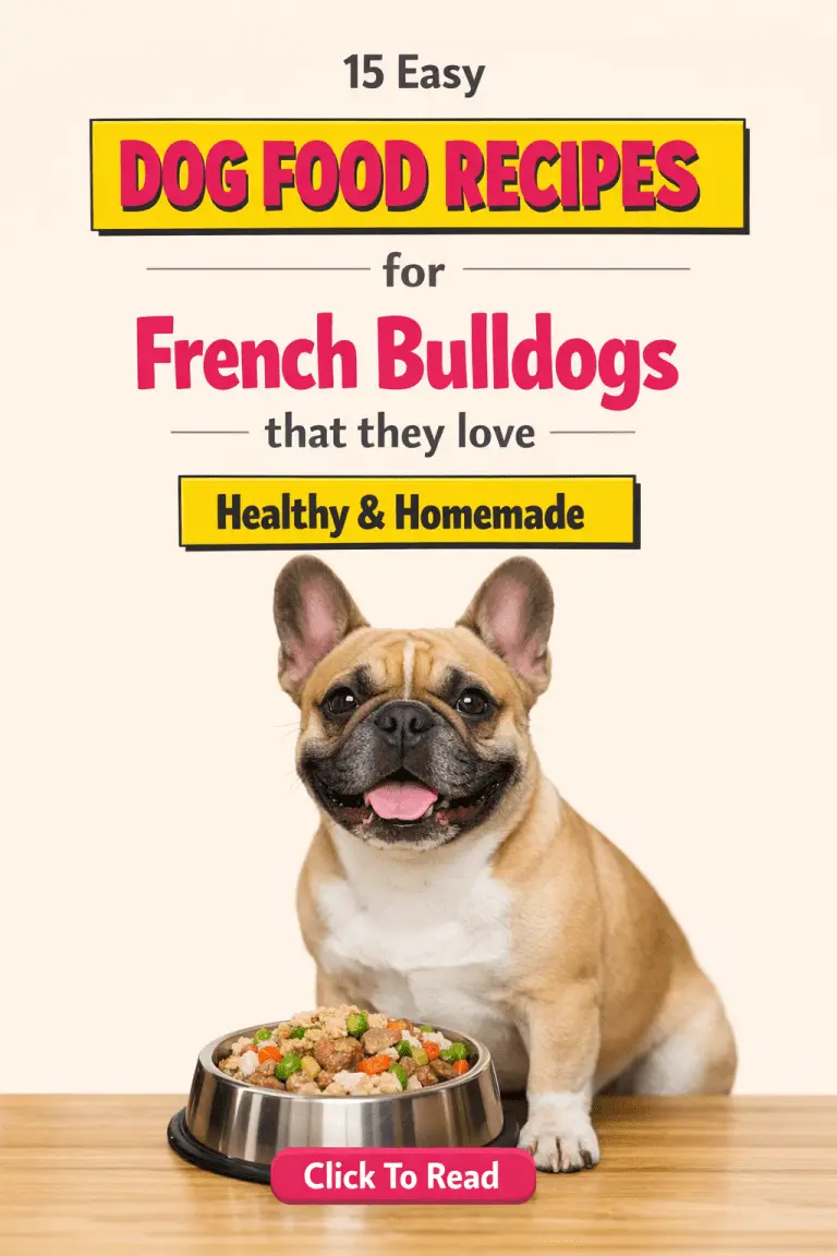 Yummy Homemade Dog Food Recipes For French Bulldogs