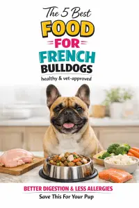 The 5 Best Food For A French Bulldog | Vet-Approved Picks
