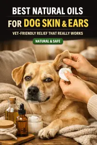 Best Natural Oils For Dog Skin And Ears For Itchy Relief