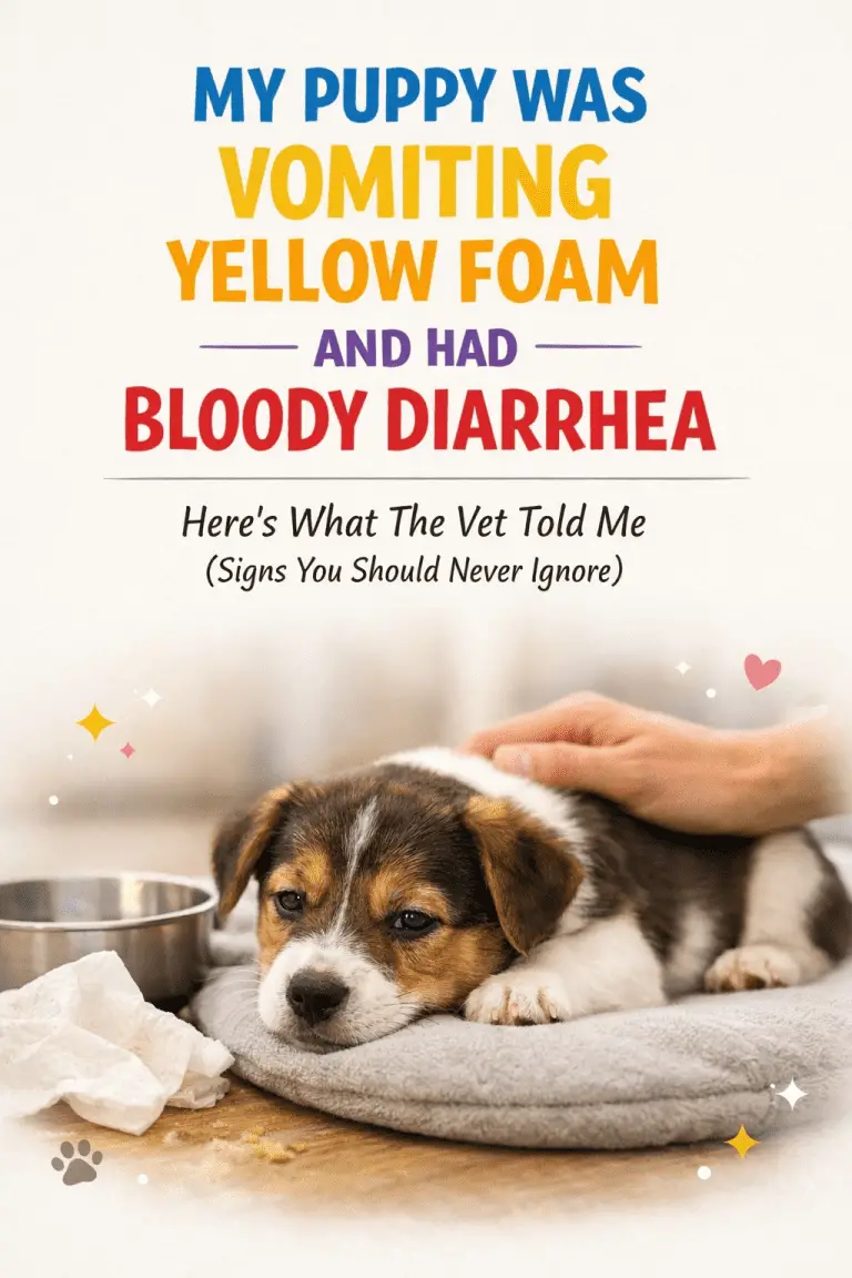 Puppy Vomiting Yellow Foam and Bloody Diarrhea? Don’t Ignore These Warning Signs